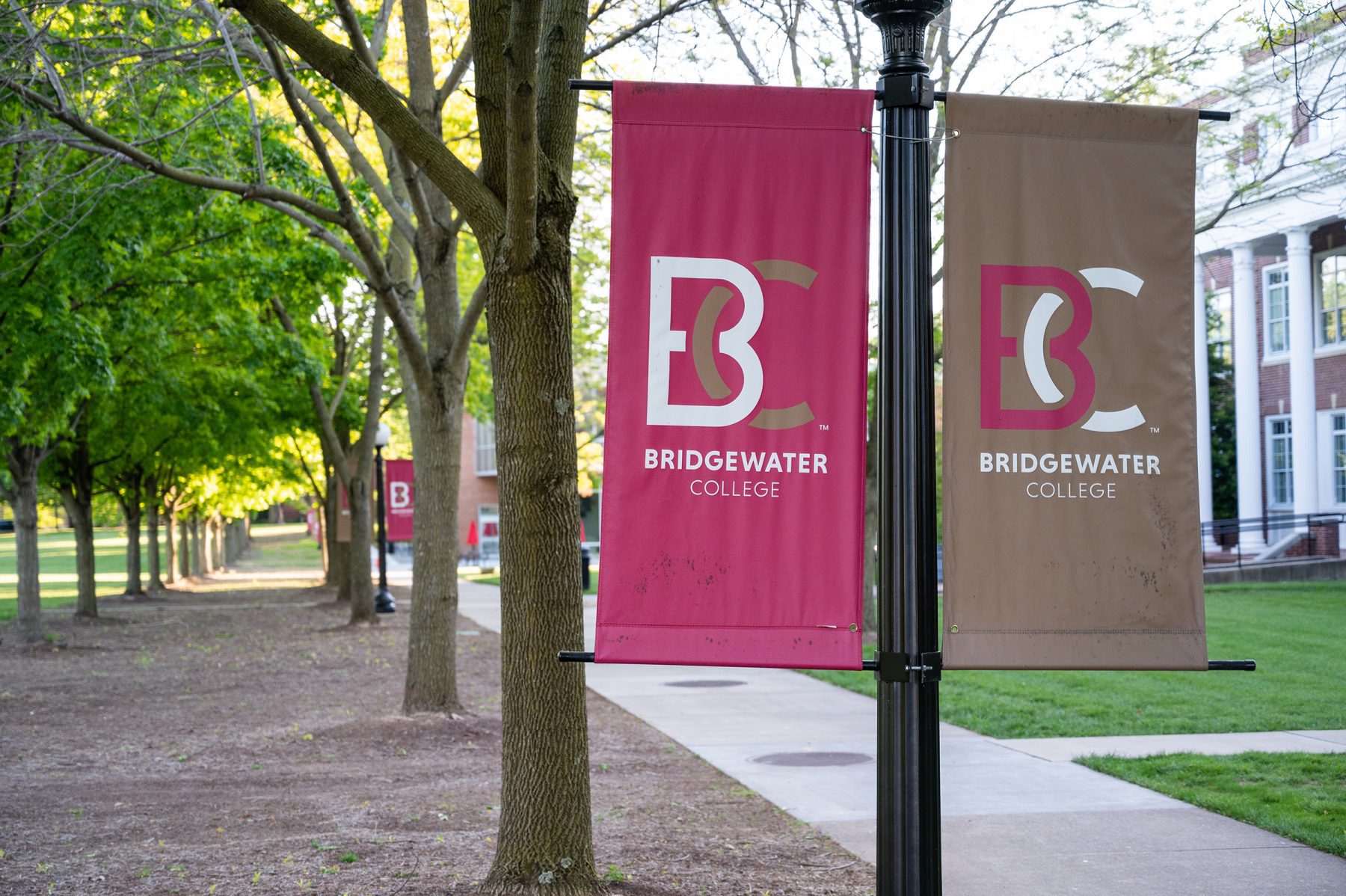 B-C Banners along the campus mall