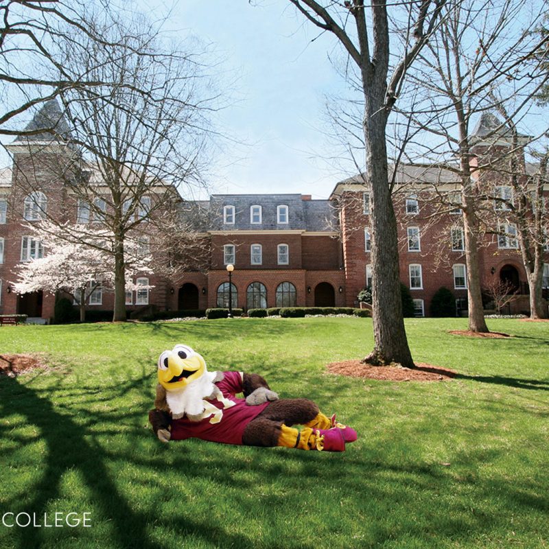 Mascot Ernie laying in the grass in front of Flory Hall