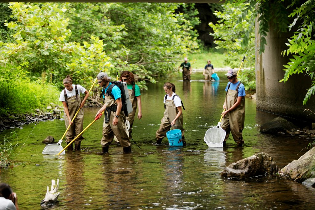 Students wading in water with buckets and fishing nets