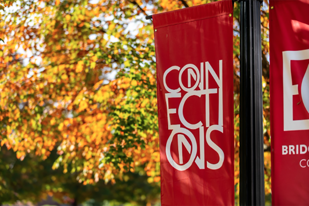 Banner that reads Connections